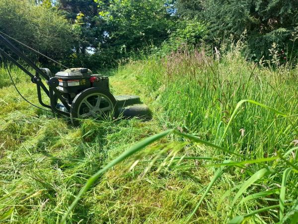 Holborn Hill Garden Maintenance