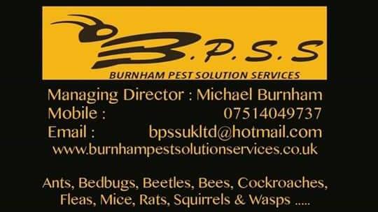 Burnham Pest Solution Services
