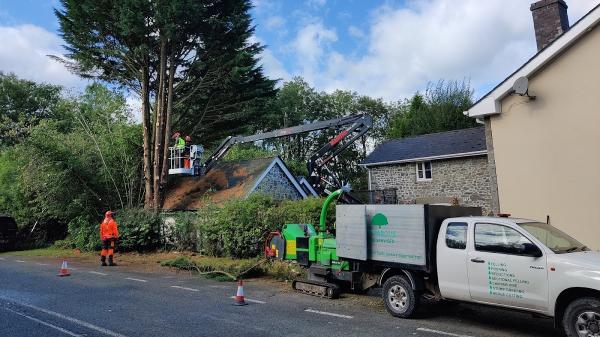 Cut Above Tree Services