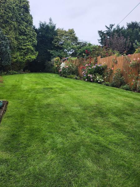 DSM Lawn Care Ltd