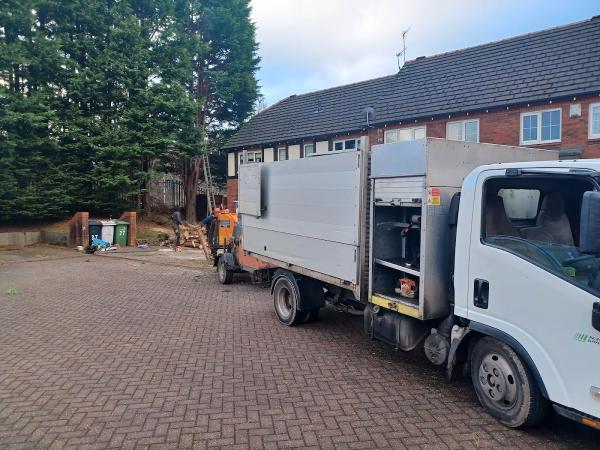 Chester Tree & Stump Removals/Chester Tree Surgeon