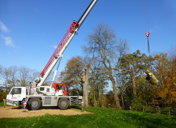 Chris Notman Tree Surgery