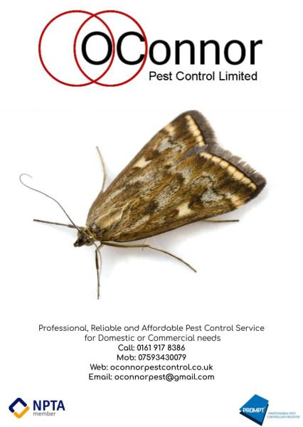 Oconnor Pest Control
