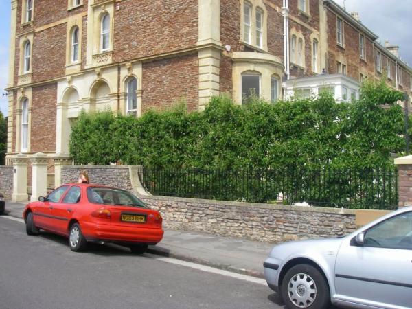 Ruskins Trees & Soil Biology Ltd