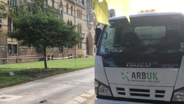 ARB UK Tree Surgeon Oxford