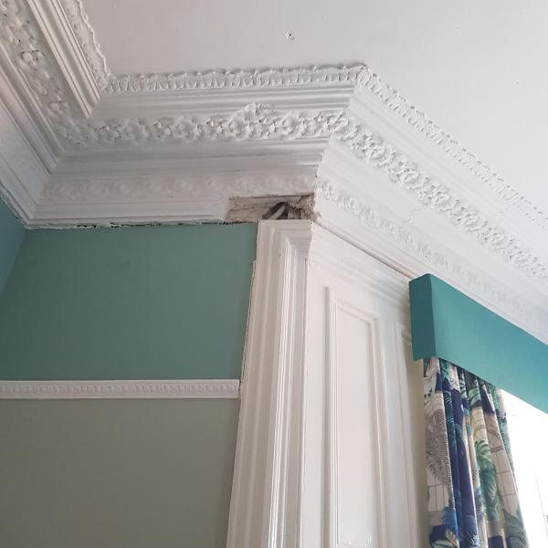 P.L Plastering and Cornice Services