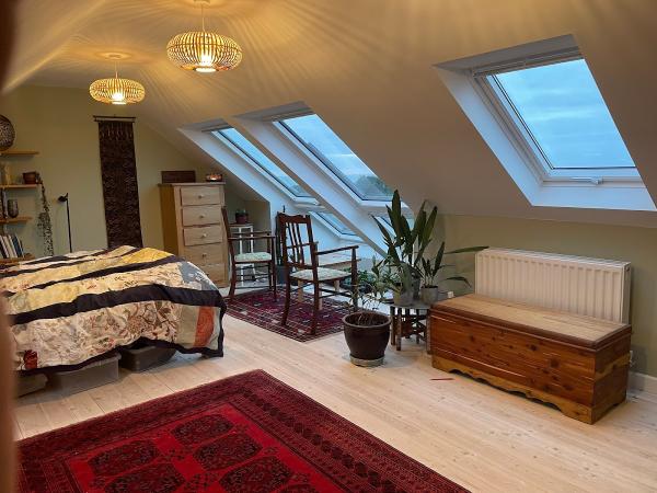 Attic Designs