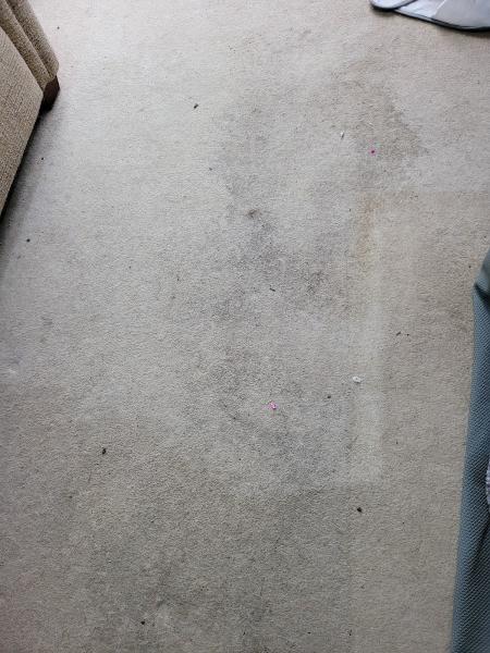 Prima Carpet Cleaning