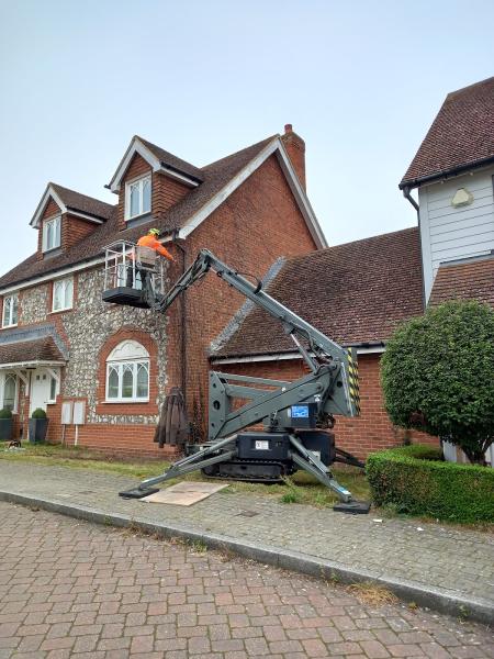 VSP Tree Surgery