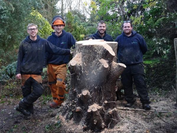 Invicta Tree Care Ltd