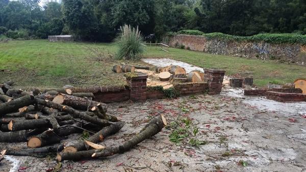 Tree & Garden Services