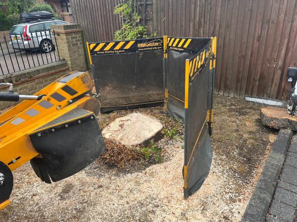 London Tree Stump Removal Company
