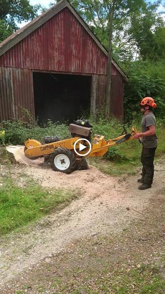 Suffolk Stump Grinding