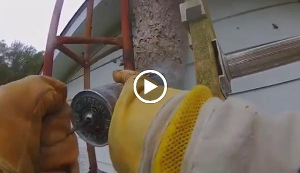 Clearway Pest Control Services