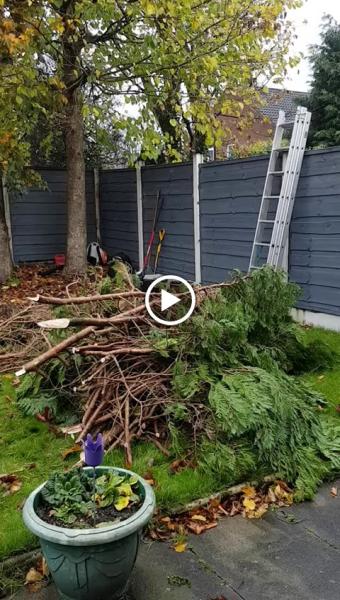 GM Tree Services Macclesfield