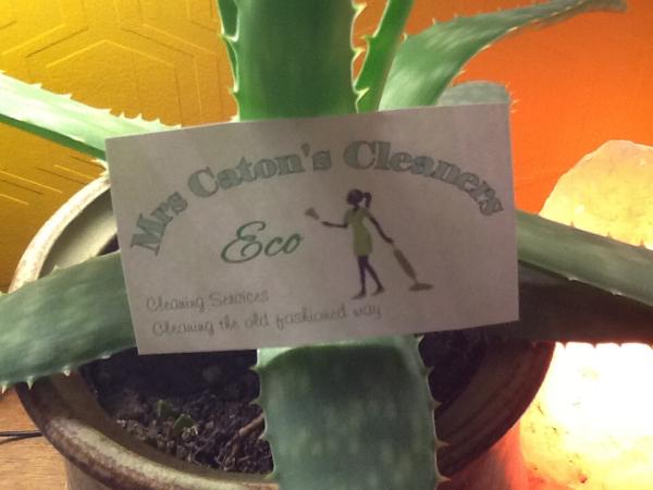 Mrs Caton's ECO Cleaners