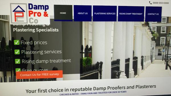 Damp Pro & Co