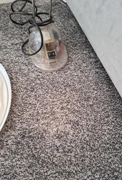 Daventry Carpet Cleaning