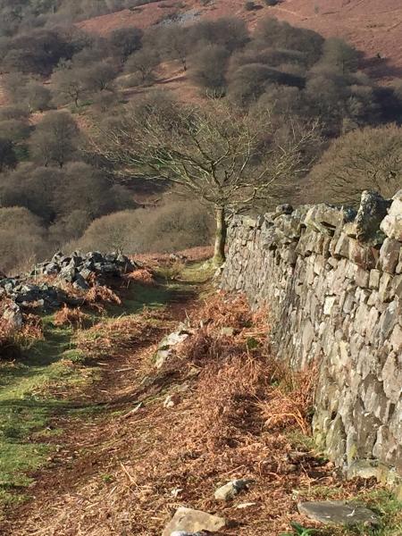 Black Mountains Archaeology Ltd