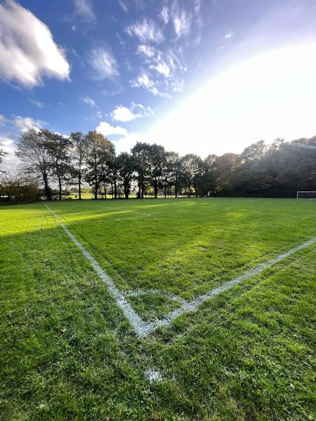 Classic Gardens Grounds Maintenance Ltd