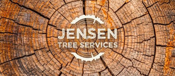 Jensen Tree Services Ltd