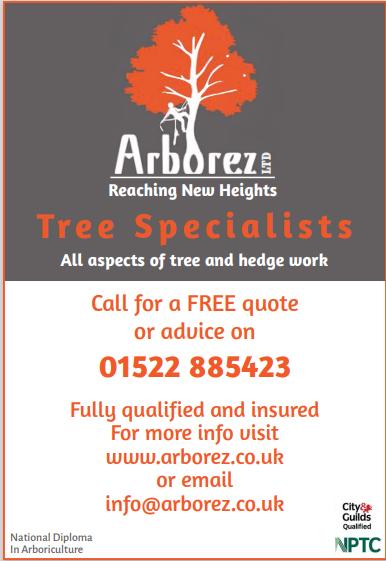 Arborez Ltd