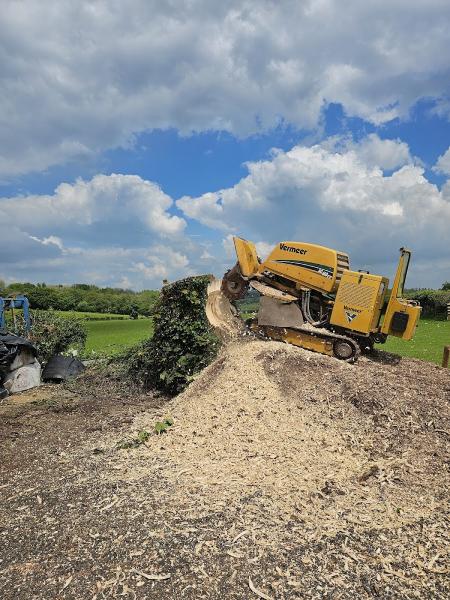 Grind IT M.corran Stump Removal