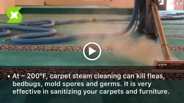 Shiny Carpet Cleaning