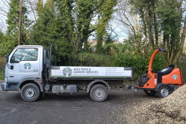 Bees Trees ( Tree Surgeon )