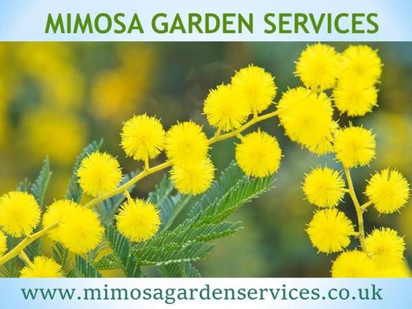 Mimosa Garden Services