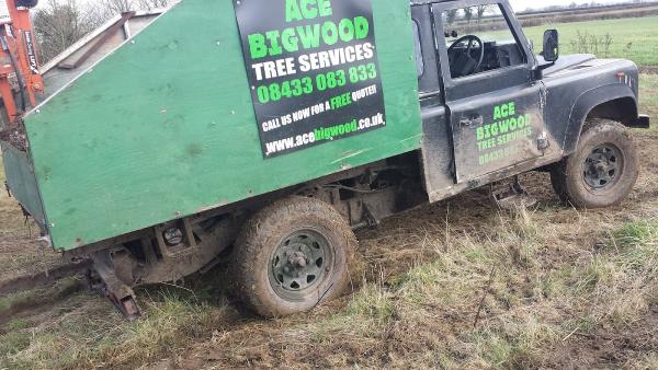 Ace Bigwood Tree Services