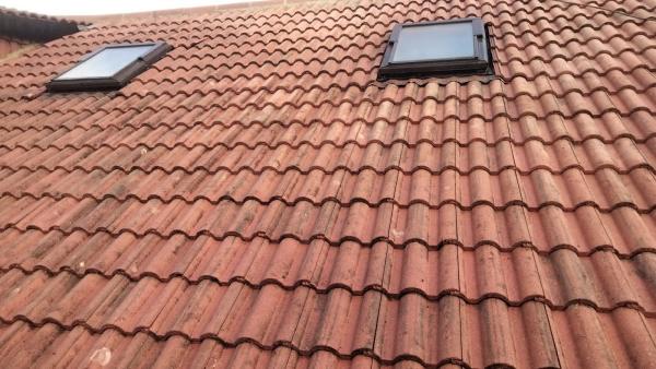 Building Sight Services Limited