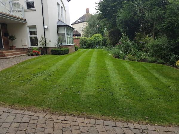 Loftus Landscapes Limited