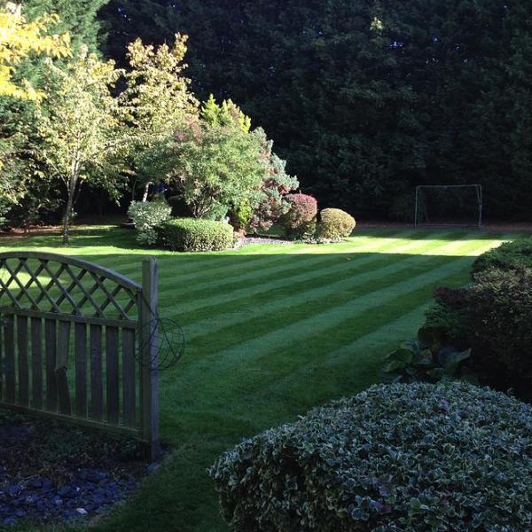 Loftus Landscapes Limited