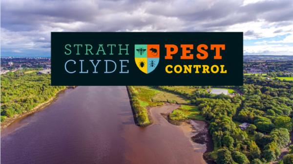 Strathclyde Pest Control