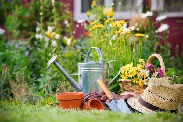 The Talented Gardener