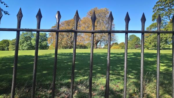 Green Way Tree Surgery Ltd