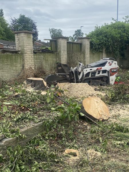 Doncaster Stump Grinding