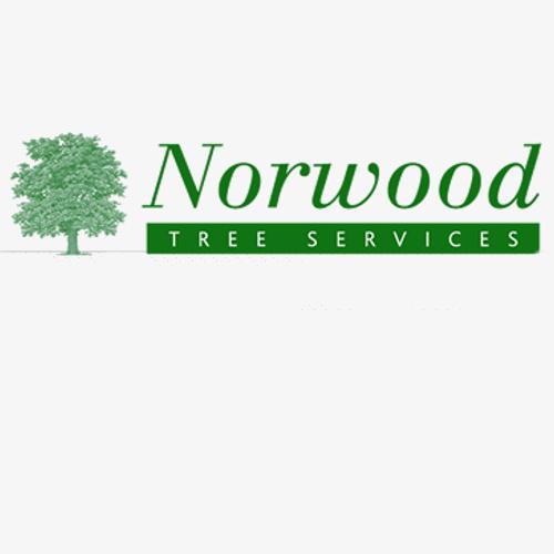 Norwood Tree Services