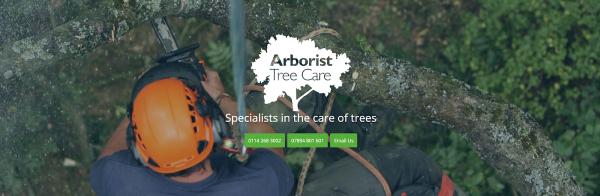 Arborist Tree Care Ltd