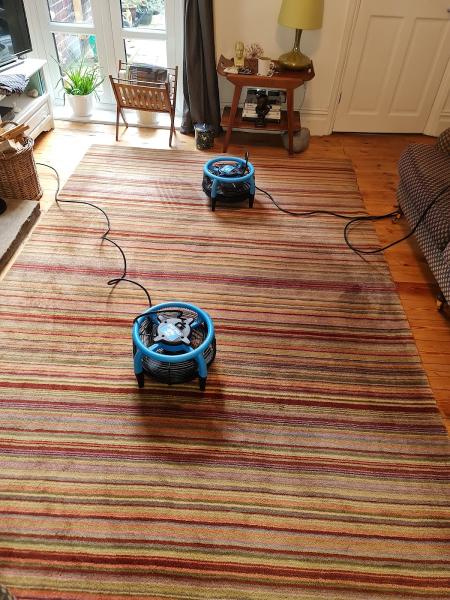 ST Carpet & Upholstery Cleaning Services