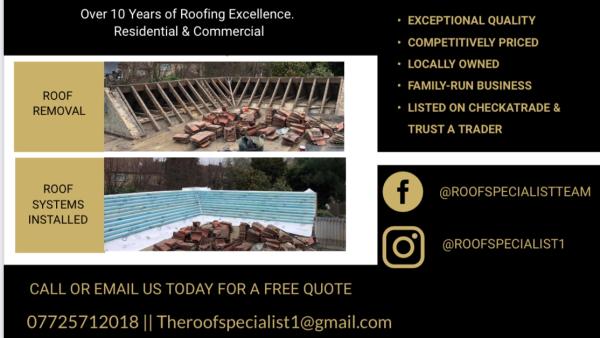 The Roof Specialist