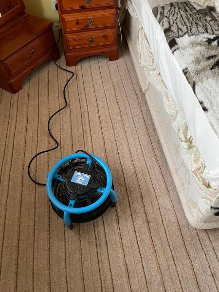 Dirtfree Carpet Cleaning