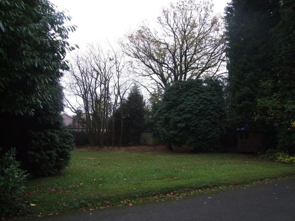 W J Kent Tree Surgeons Ltd