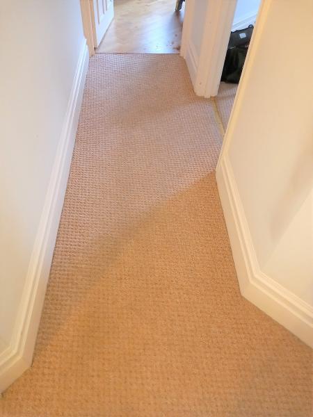 First Aid Carpet Cleaning