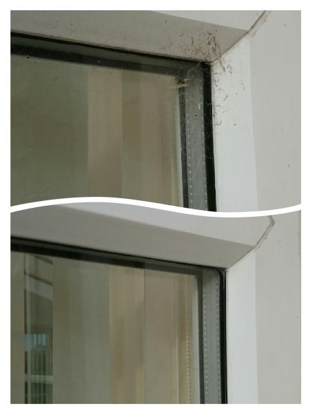 HD Window Cleaning