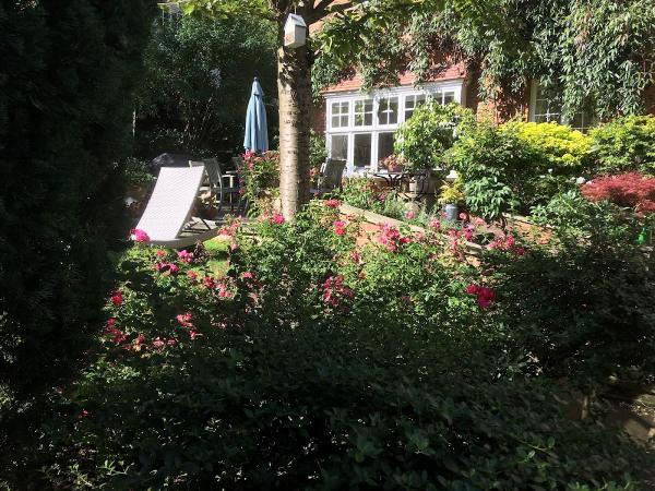 Urban Fox Garden Services