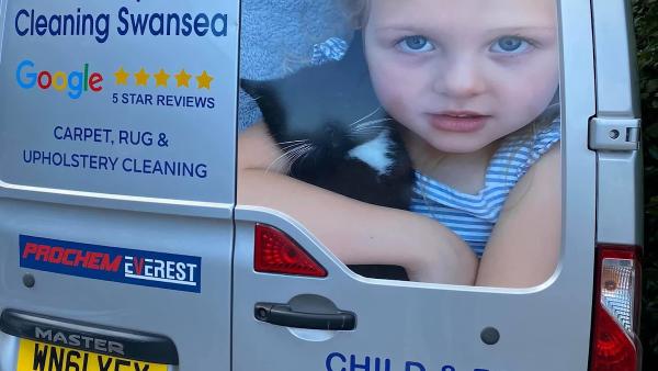 Pro Carpet Cleaning Swansea