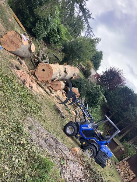 Quercus Trees & Landscapes Ltd