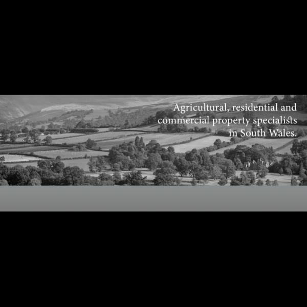 Rees Richards & Partners